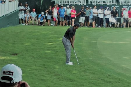 Who’s Watching Golf?